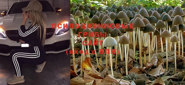 прущая мука Белокуриха