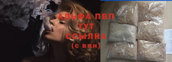 индика Белоозёрский