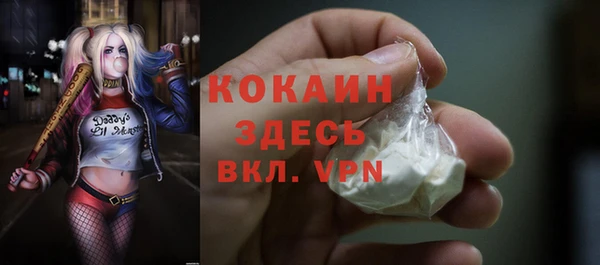 индика Белоозёрский