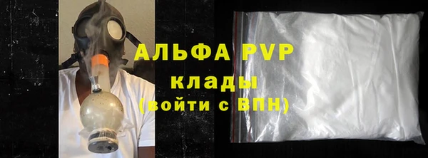 индика Белоозёрский