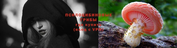 прущая мука Белокуриха