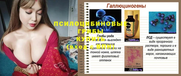 индика Белоозёрский