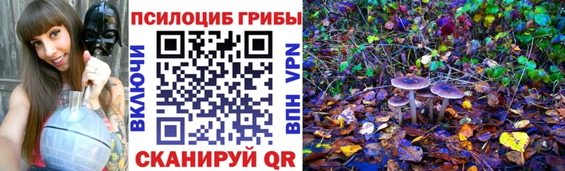 МЕГА Кунгур Псилоцибиновые грибы мухоморы купить наркоту
